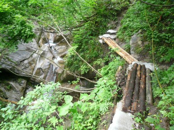 丸太も新しい物に架け替えられていました